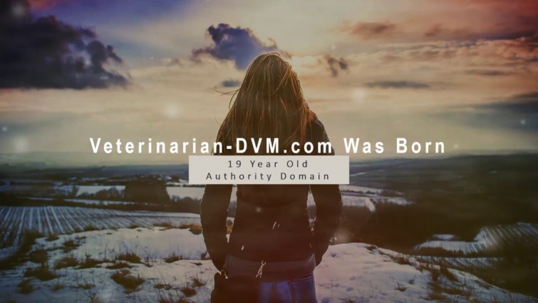 Veterinarian-DVM.com for sale  19 years old