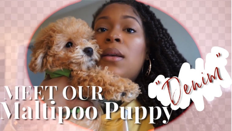 WE GOT A PUPPY!!!! + VET VISIT| VLOG