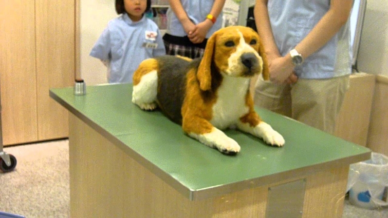 kidzania @ veterinarian