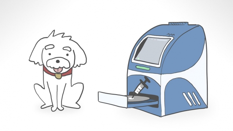 Veterinary Wellness Testing