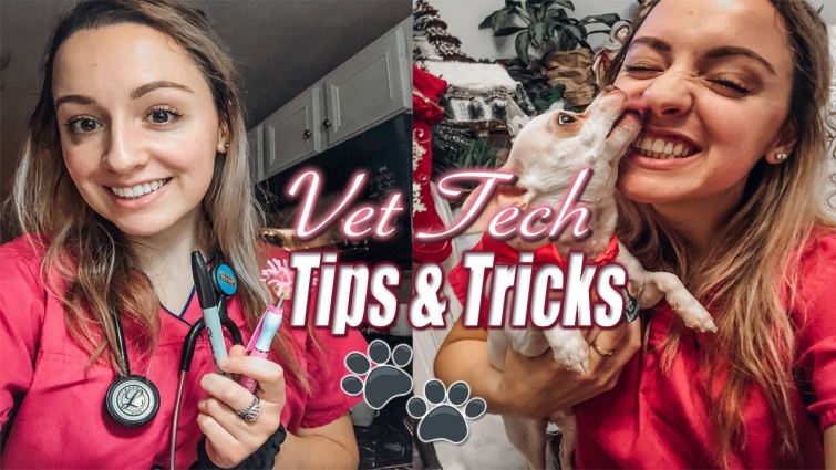 Tips & Tricks for Vet Techs! | Vet Tech Life