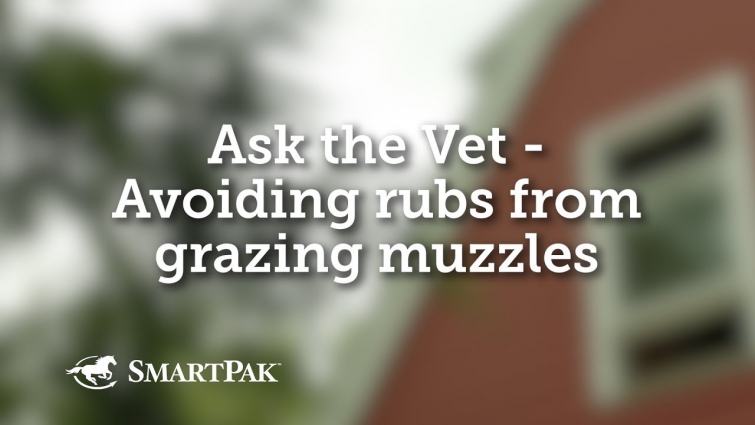 Ask the Vet – Avoiding rubs from grazing muzzles