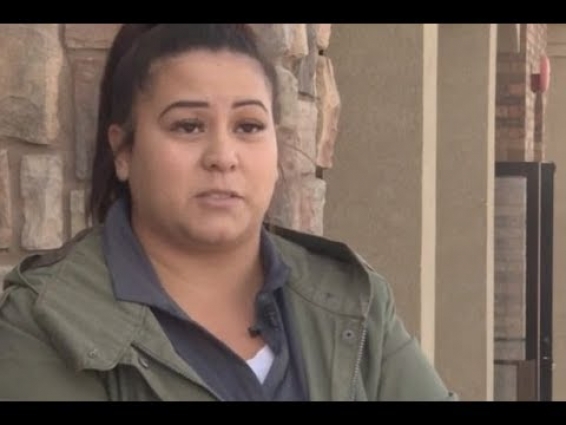 Vet 'mistakenly euthanises dog after calling wrong owner during surgery' – Today News