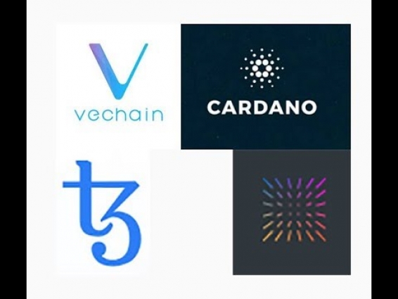 VET, INS, BNB, ADA, XTZ, DAG, Xinfin, and other coins to look out for in 2020