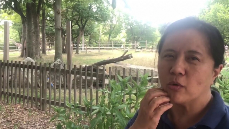 Shirley Llizo, Topeka Zoo veterinarian, speaks on the first hour of baby Konza’s life