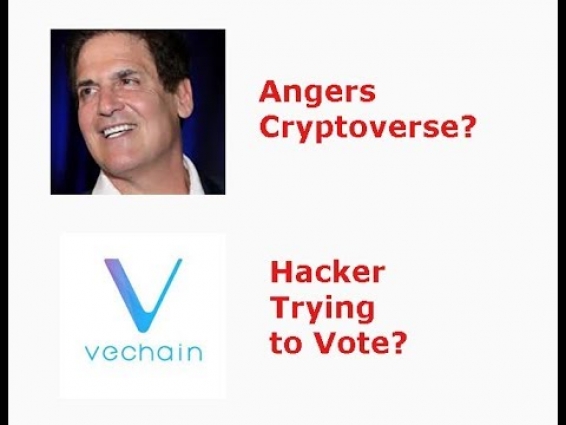 Mark Cuban Angers Cryptoverse, VET catches hacker voting, christmas, livestream recap