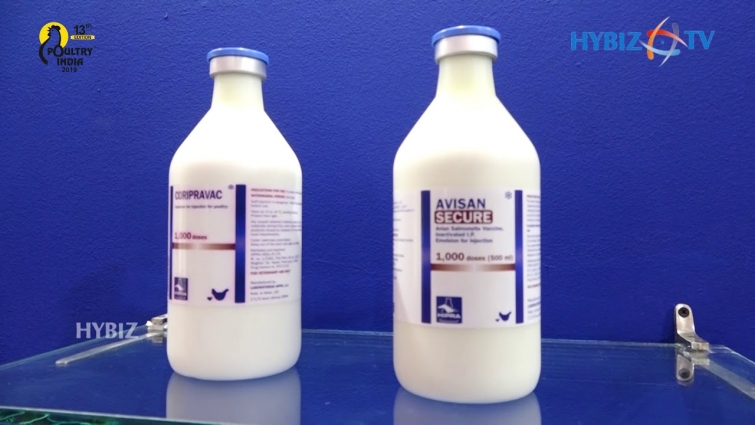 Hipra India | Manufacturing Biological and Pharmacological Veterinary Products