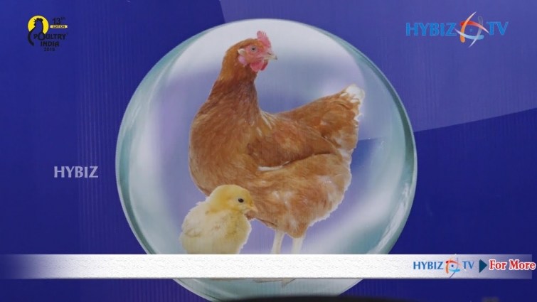 Vetina Healthcare | Veterinary professions, Ruminants , Poultry, Aqua Healthcare