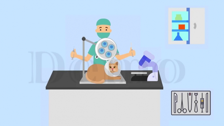 A Video Ad for a Vet