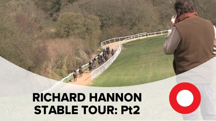 Richard Hannon 2019 Stable Tour: Urban Icon, Walkinthesand, Watan