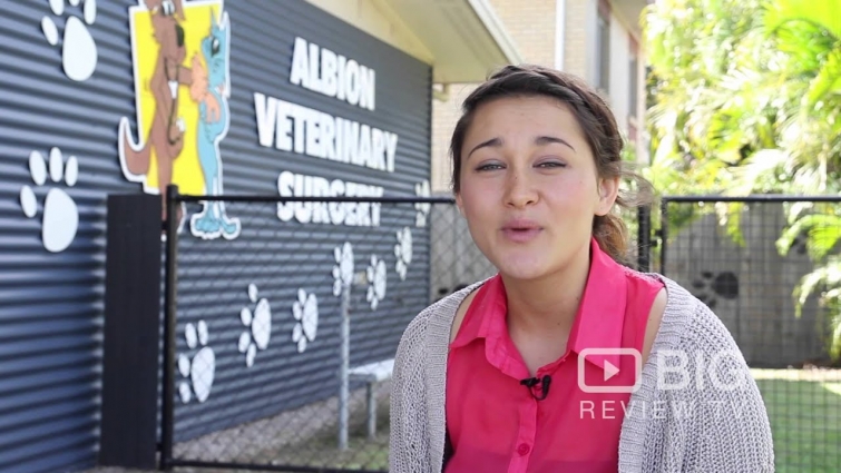 Albion Veterinary Surgery a Veterinarian in Brisbane offering Pet Care