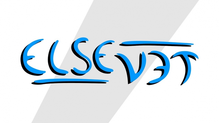 Else-Vet, the Youtube channel