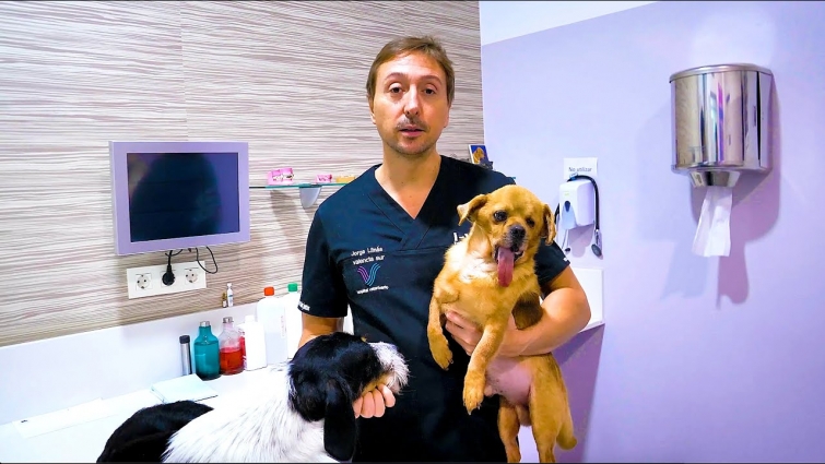 Important Youtube Announcement… Please watch.