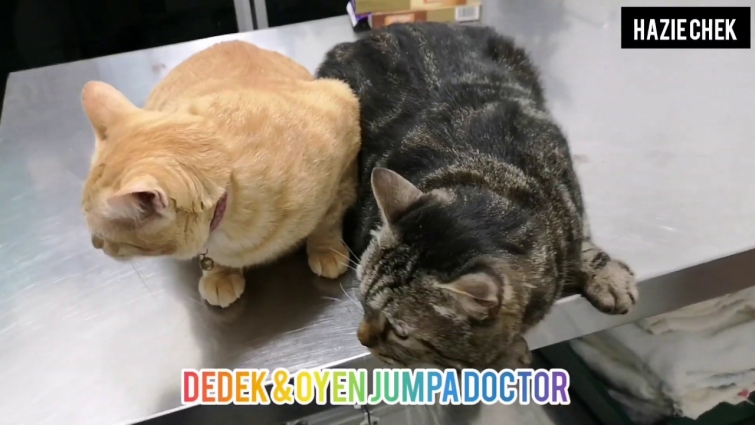 Dedek & Oyen Jumpa Doctor 😍