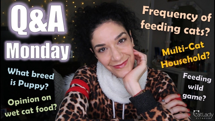 Multi-Cat Households? What breed are my cats? Feeding Wild Game? 🙀🤔 – Q & A Monday