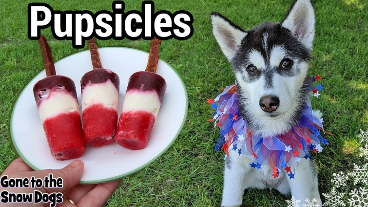 Patriotic Fruit Popsicle For Dogs | DIY Frozen Dog Treats 120 | Pupsicle