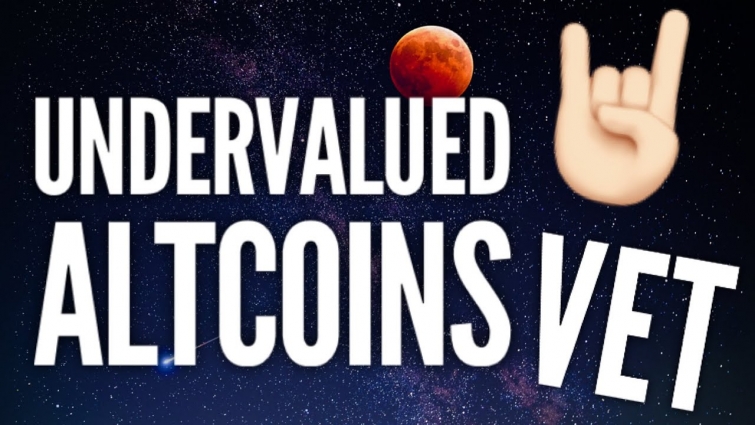 Undervalued Altcoins To Buy In 2020: Vechain (VET) PART 3/6