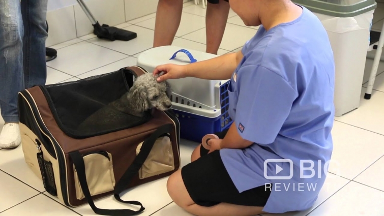 Adelaide Mobile Vet Service a Veterinarian in Adelaide offering Pet Care