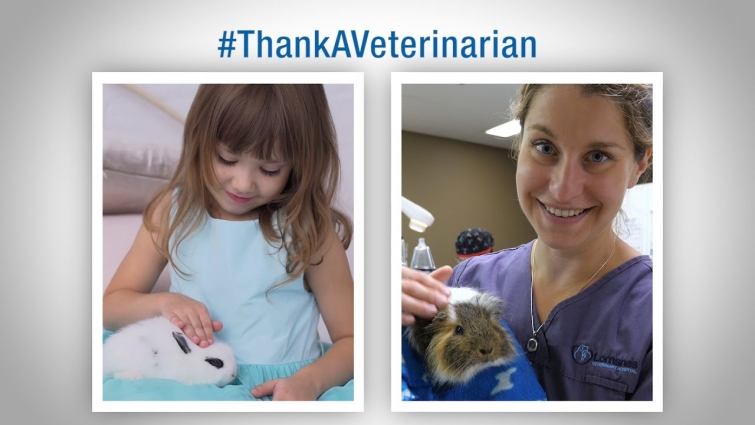 #ThankAVeterinarian – Happy Veterinarian Appreciation Day from VetStrategy