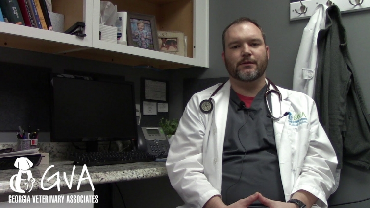 Get to Know: Dr Stephens