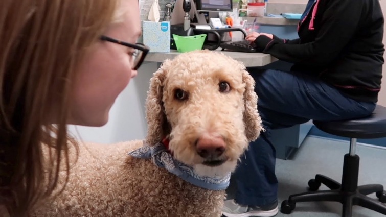 OLIVER GOES TO THE VET 🐾 (4.26.18)