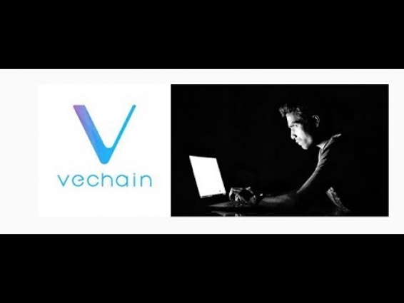 Vechain(VET) not moving in rally because some stolen coins being sold off?