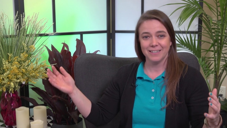 Life as an Emergency Veterinarian