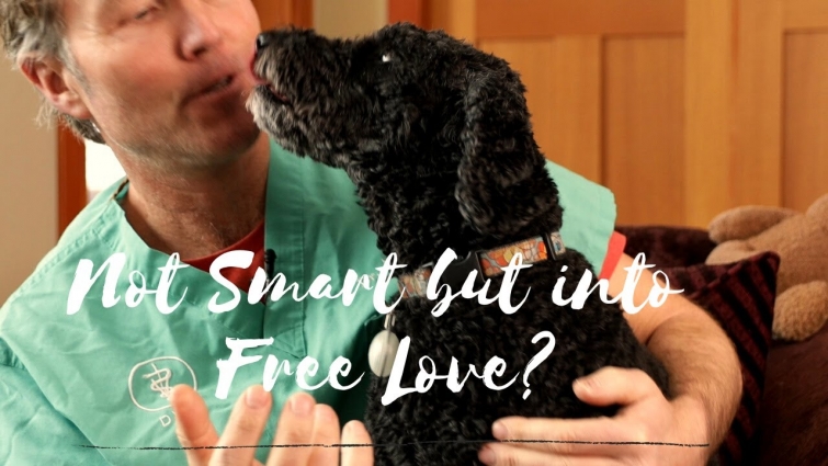 How and Why Your Dog Loves You