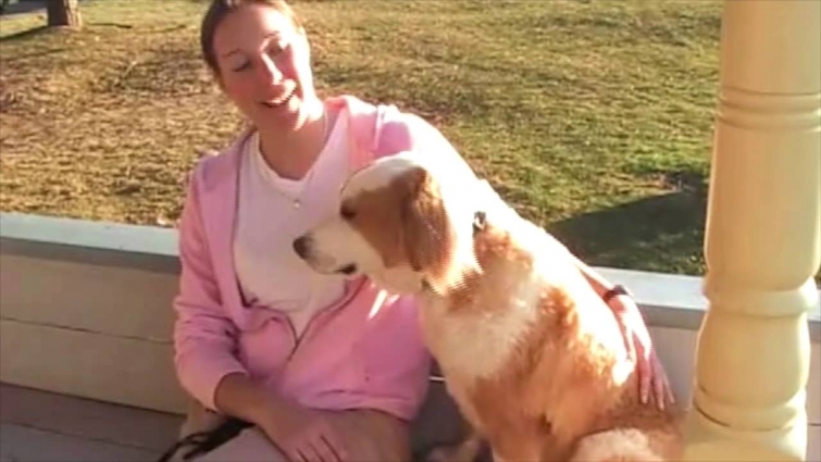 Veterinarian Review On Unleashed Potential Dog Training VS "Positive Only"