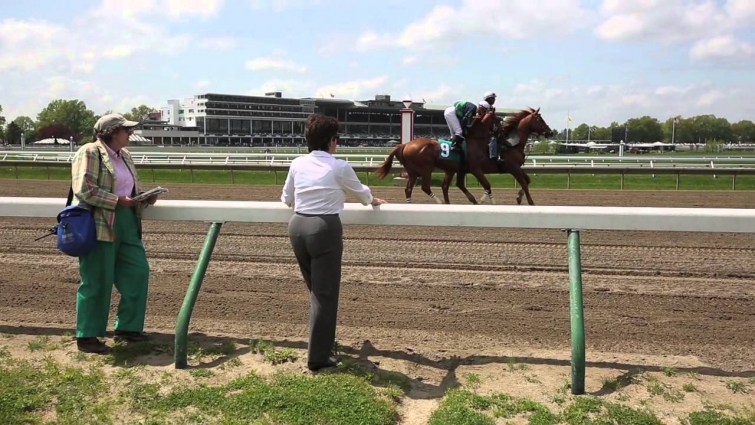 Meet the veterinarian who will make sure American Pharoah and the Haskell field are fit to race