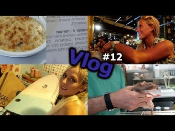לקחתי את החולדות לוטרינר, גלשן חדש | Vlog 12 – Visit a veterinarian, new surfboard