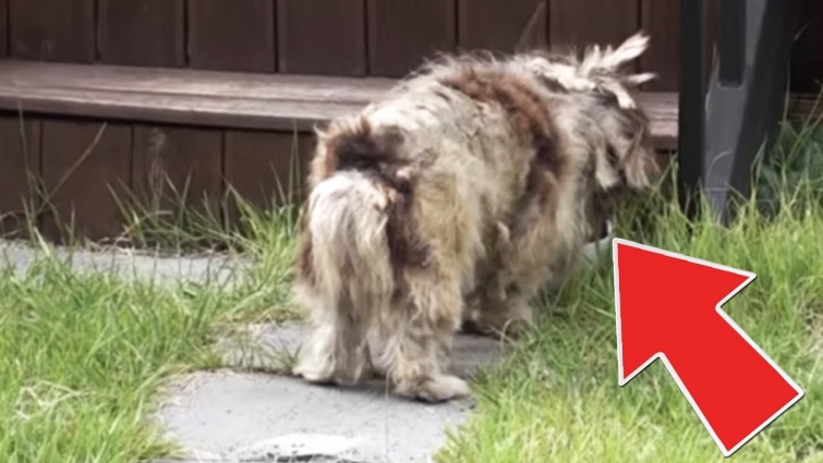 His Family Moved Away, Years Later He Still Thinks They’ll Be Back To Pick Him Up