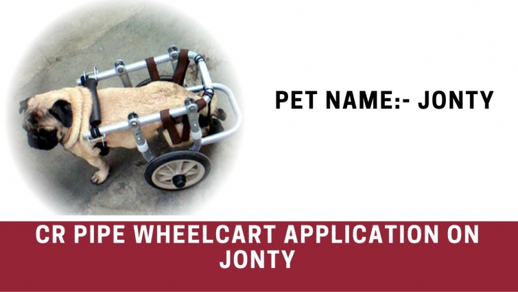 Innovation India Pet Portfolio Video of CR Pipe Wheelcart  Two Wheel Support | Jonty In Action