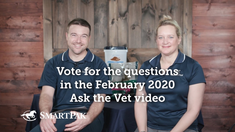 Vote for the questions in the February 2020 Ask the Vet video