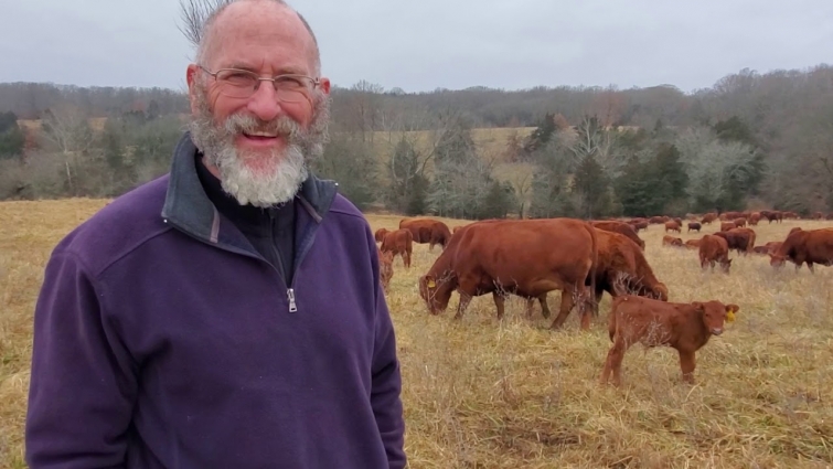 Greg interviews retired veterinarian in mob of cows