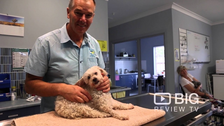 Adelaide Mobile Vet Service a Veterinarian in Adelaide offering Pet Care
