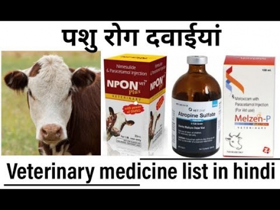 Veterinary medicine list in hindi | पशु रोग दवाईयां ।