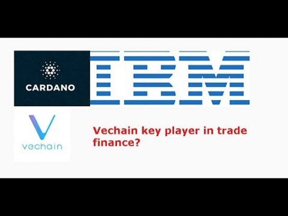 Cardano(ADA) partnership with IBM? Vechain(VET) key player in trade finance? Livestream recap