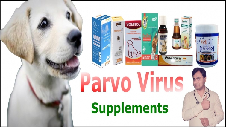 Supplements suitable for use in parvo virus affected puppies/dogs