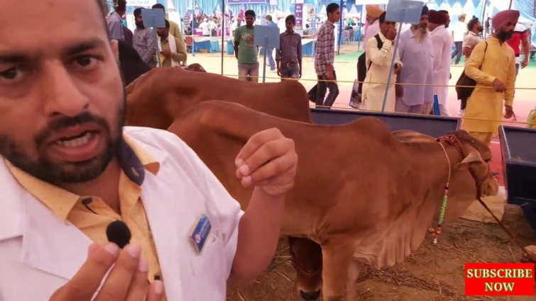 Guru Angad Dev Veterinary and Animal Sciences University  Ludhiana