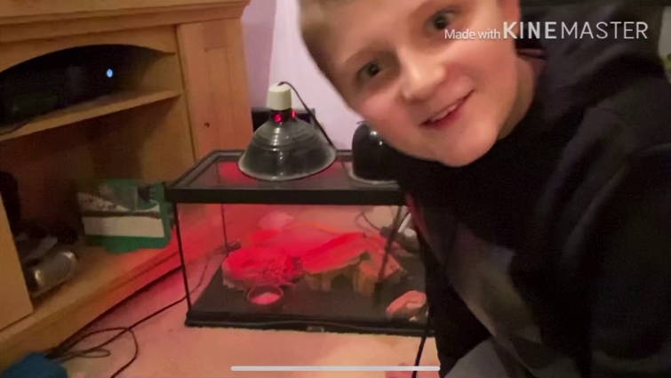 MEET MY PETS! (No intro)