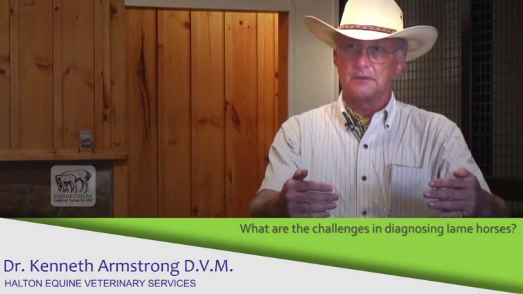 Working with Your Vet – DIAGNOSIS – Dr. Ken Armstrong