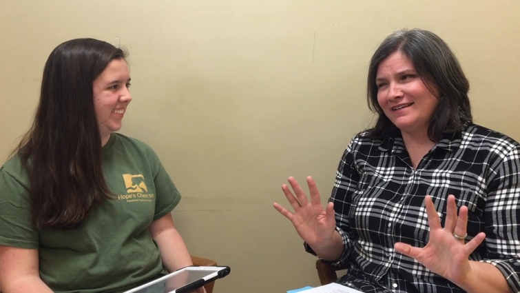 Q & A With A Veterinarian: Feline Leukemia