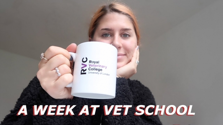 A week as a student at London Vet University | Lucy Lynch