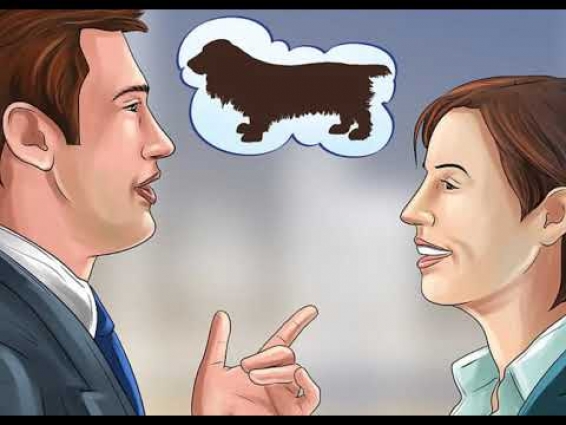 HOW TO IDENTIFY A FIELD SPANIEL? INQUIRING ABOUT THE BREED