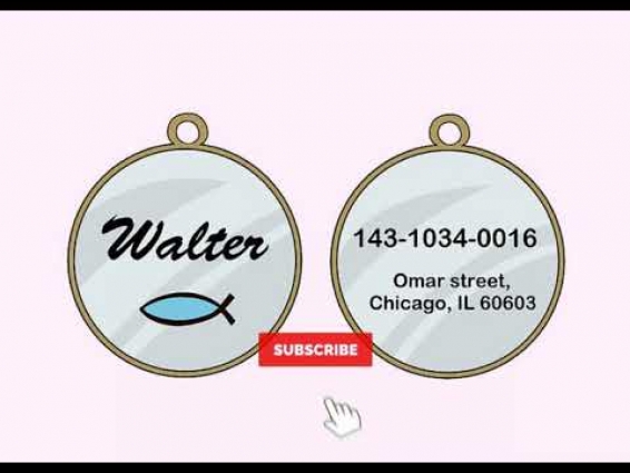 HOW TO INCLUDE YOUR CAT IN A DISASTER PREPAREDNESS PLAN? PREPARING FOR AN EMERGENCY AHEAD OF TIME