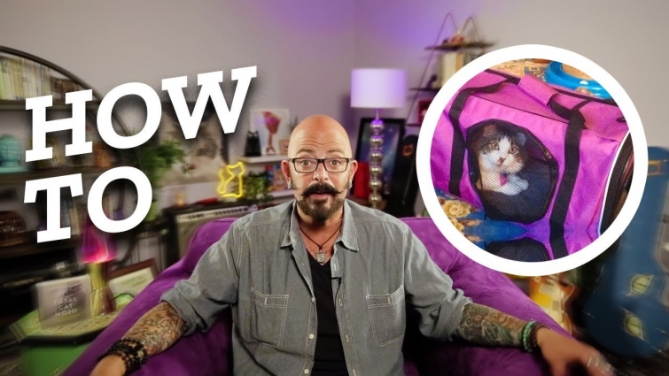 How To Get Your Cat Into a Pet Carrier