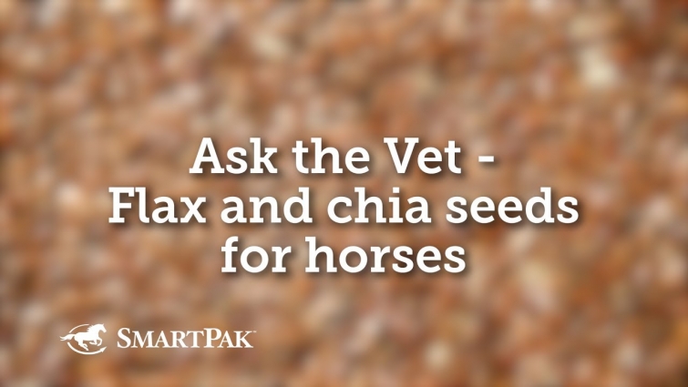 Ask the Vet – Flax and chia seeds for horses