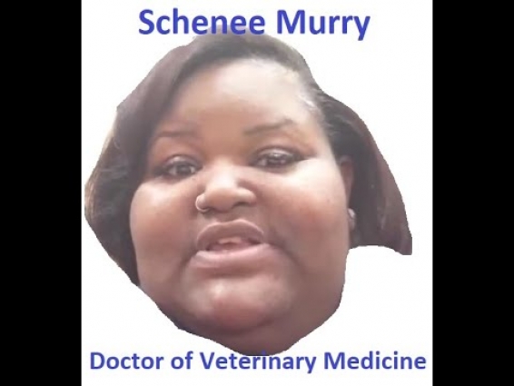 How Schenee ignores her vet and feeds TC chicken Bones but claims she doesn't.