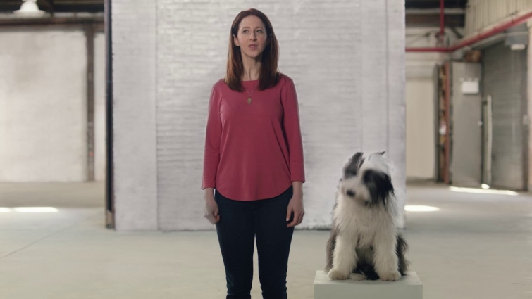 Introducing Banfield Vet Chat | A Smarter Way To Love Them | Banfield Pet Hospital